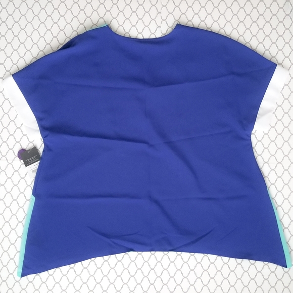 Project Runway Colorblock Top - Picture 4 of 5